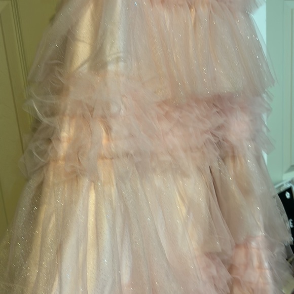 Pink Ruffle Prom Dress - Picture 3 of 4